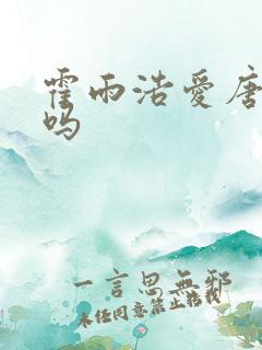 霍雨浩爱唐舞桐吗