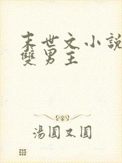 末世文小说推荐双男主