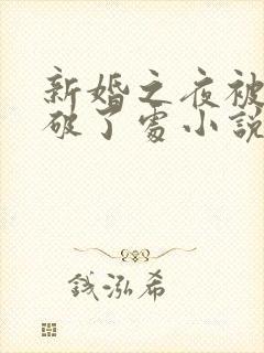 新婚之夜被宾客破了处小说