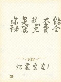 你是我不能说的秘密免费全文阅读