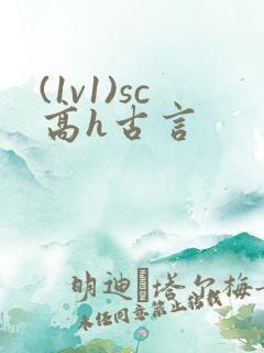 (1v1)sc高h古言