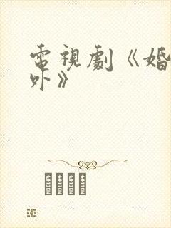 电视剧《婚里婚外》