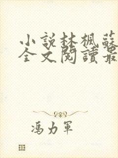 小说林枫苏慕白全文阅读最新章节下载