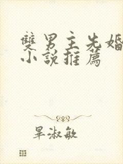 双男主先婚后爱小说推荐