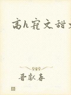 高h宠文甜文