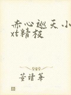 赤心巡天小说txt精校