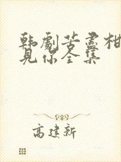 韩剧苦尽柑来遇见你全集