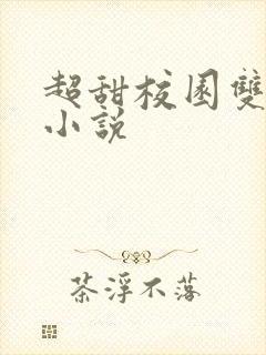 超甜校园双男主小说