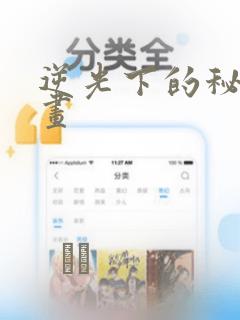 逆光下的秘密漫画：结局+番外