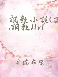 调教小说(高h,调教)1v1