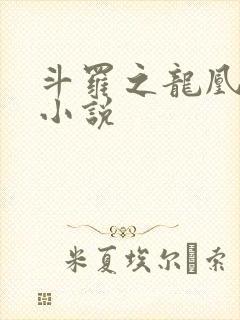 斗罗之龙凰传说小说