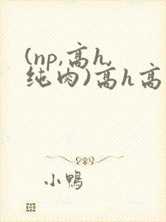 (np,高h,纯肉)高h高辣小说