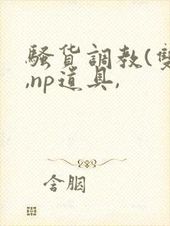 骚货调教(双性,np道具,