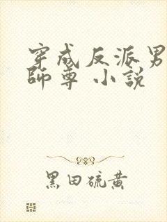 穿成反派男主的师尊 小说