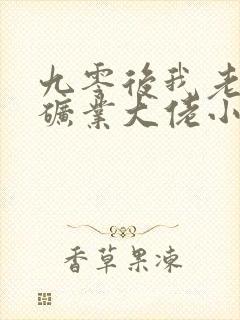 九零后我老公是矿业大佬小说