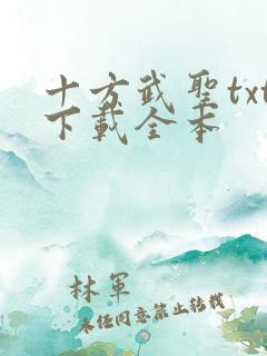 十方武圣txt下载全本
