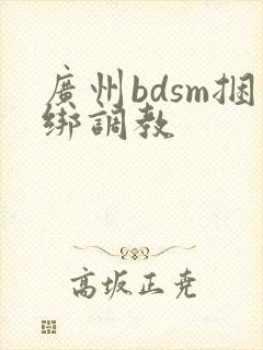 广州bdsm捆绑调教
