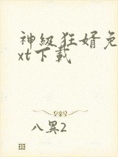 神级狂婿免费txt下载