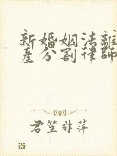 新婚姻法离婚财产分割律师