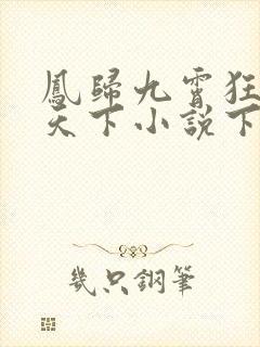 凤归九霄狂妃逆天下小说下载