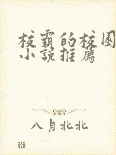 校霸的校园甜宠小说推荐