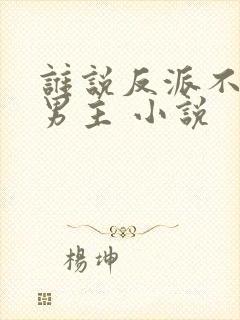 谁说反派不能当男主 小说