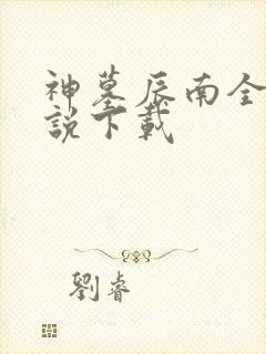 神墓辰南全本小说下载