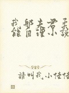 我那夫君柔弱不能自理小说