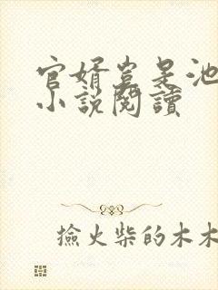 官婿岂是池中物小说阅读