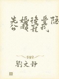 先婚后爱隐婚老公超宠我