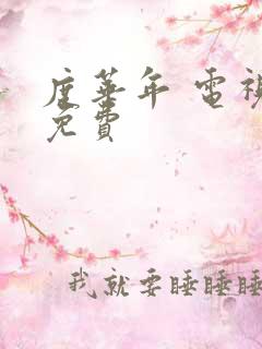 度华年 电视剧免费