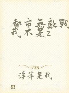 都市无敌战神 我不是z