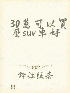 30万可以买什么suv车好