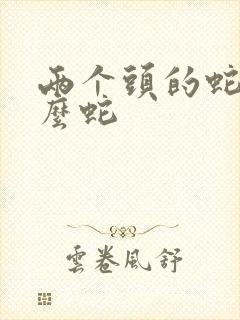 两个头的蛇叫什么蛇