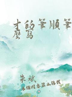 才的笔顺笔画怎么写