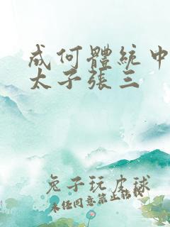 成何体统中的小太子张三