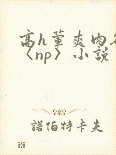 高h荤爽肉欲文〈np〉小说