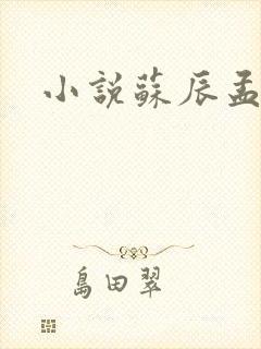 小说苏辰孟欣儿