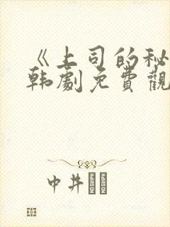 《上司的秘密》韩剧免费观看