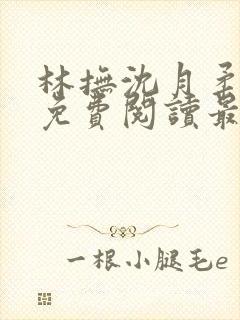 林抚沈月柔小说免费阅读最新章节