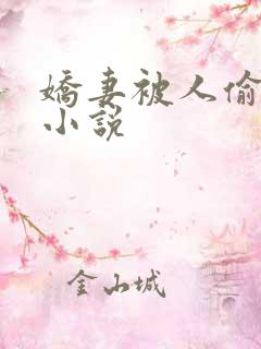 娇妻被人偷偷骑小说