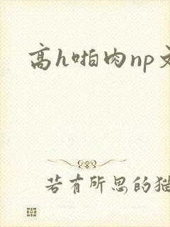 高h啪肉np文