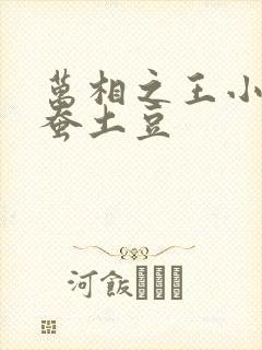 万相之王小说天蚕土豆