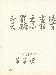 斗罗之灵珠神剑天麟小说有声听书免费