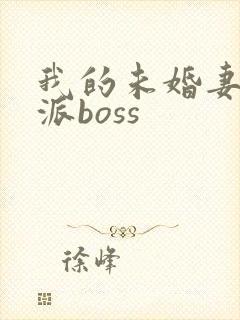 我的未婚妻是反派boss