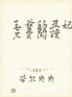 王爷的丑妃全文免费阅读