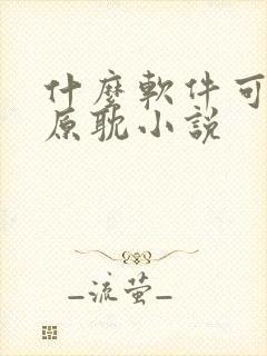 什么软件可以看原耽小说