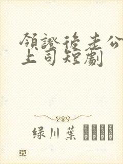 领证后老公竟是上司短剧