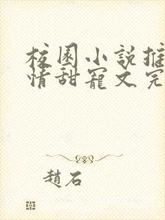 校园小说推荐言情甜宠文完结