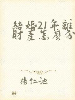 结婚21年离婚财产怎么分
